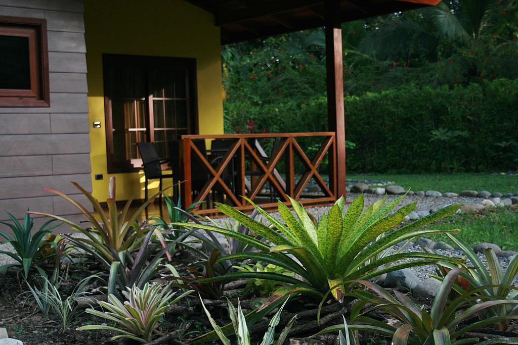 Oasi Apartment Cahuita Ruang foto