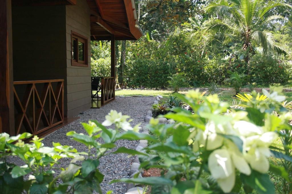 Oasi Apartment Cahuita Bagian luar foto
