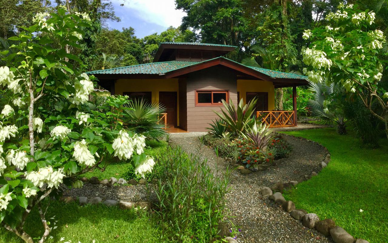 Oasi Apartment Cahuita Bagian luar foto